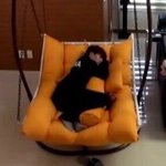 우리<b>학년</b> 잘나가는? 남자애들이