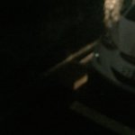 ++추가++새끼고양이를 <b>박스</b>에 넣어버렸어요