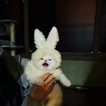 [드루와] 나 놀때 폰 뭐가져갈까??