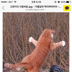 [드루와] 떡대없는 판녀들 겨울에 <b>아우</b>터 뭐 입음?
