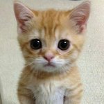 [EXO] 미치겠네...ㄹㅇ (<b>미방</b> 사진 있)