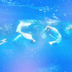 [EXO] <b>배사</b> 이거