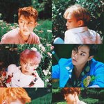 [EXO] 그<b>로야</b>엑소얼굴보고가셈