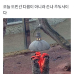 강남고터 빨강? 폰케이스집 가지마 진짜