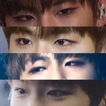 [박우진] <b>참새</b>팬두라