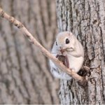 [댓글부탁해] 통화.정리+)김이브윰댕총정리