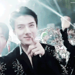 [세훈] 171209 마마 엔딩 <b>셀프캠</b> 움짤