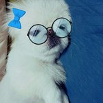 <b>햇살</b>아 니가 너무 좋아