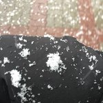 [EXO] 수도권눈걍펑펑옴 눈발도<b>조카커</b>