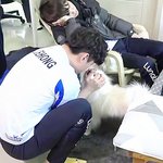얘들아 페미 어떻게 공부해야해...