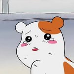 [EXO] 팬싸 못간거 나뿐이냐
