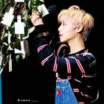 [박지훈] <b>사과나무</b> 윙깅이