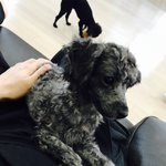 [EXO] 그래서 이 손은 경수인거냐?