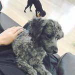 [EXO] 후추 존잘<b>이긔</b>
