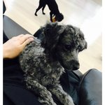 [EXO] 후추 뒤에 먹물이 조카 시강임 각선미 거의 김종인;;