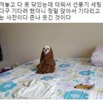 [드루와] 어제 콘서트갔는데