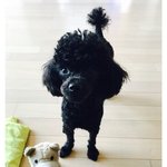 [EXO] 그와중에 장난감 <b>실밥</b>터진거 졸귀