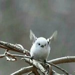 [조언부탁해] 진짜 피부 때문에 자살하고싶어 ㅠㅠㅠㅠ ((혐)) <b>미방</b>