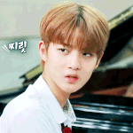 너네 좋아하는 <b>bj</b>나 스트리머 있엉???