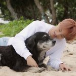 [EXO] 내가 <b>피지</b>에서 제일 설렌 거