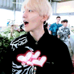 [EXO] 조팔련들아 !