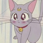 나 안경쓸때가 인기 <b>최절정</b>이었음ㅋㅋ