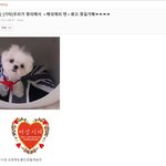 [이것좀봐줘] 배성재의텐 광고 끊었다고 좋아하는 여자일<b>베들</b>