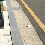 [댓글부탁해] 혐주의) 나 길거리에서 다쓴 <b>생리대</b>봄;;;