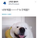 [드루와] 애들아 젭발 내친구 ㄹㅇ 답정너인데 개싫음 <b>퇴치</b>법좀,,