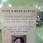 ㅇㅅ대학교 고양이