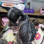 [꼭봐주세요] 자연과 생태계의 도시? <b>순천시</b> 이면뒤에 모습 시청...