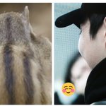 [시우민] 스브스 <b>The</b>람쥐에 시우민 나옴