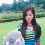 [댓글부탁해] 블랙핑크지수랑 에이핑크<b>초롱</b>이랑닮지않음?