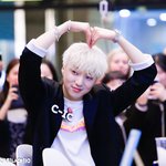 [위너] 한달만이라도 스밍권 결제해서 같이하자