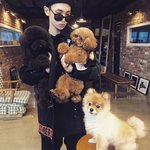 [드루와] 나중에 키처럼 까망색 갈색 <b>푸들</b> 한 마리씩