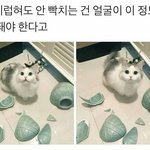 <b>동아리</b> 다 면접<b>때</b> 장기자랑 시켜?