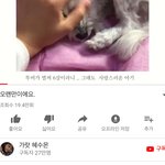<b>조혜수</b> 박수진 다시유투브함