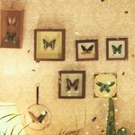 [NCT] 왜 이름 <b>JOY</b>일까