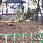 청원진행중]  제발 동물 학대 처벌을 강화해주세요.