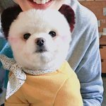 [드루와] 아 애들아 <b>몸</b>이 <b>안</b>떨어져