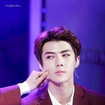 [EXO] <b>집순</b>이들 나온날