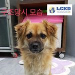 [강아지] 저의 엄마아빠는 언제쯤 오실까요