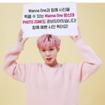 [박지훈] ㅁㅊ박지훈 핑크볶머리