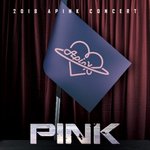 당황스러운 에이핑크 콘서트 포스터ㅎㅎ..