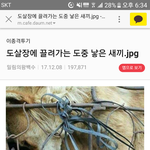 사람이 제일 나쁘네요
