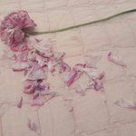 우리 학교 몇 남자 애들 충격인 거