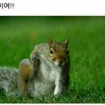 [EXO] 내일시험인데 <b>다른과목</b> 공부함