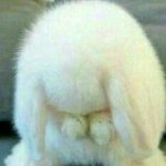 [댓글부탁해] <b>취미</b>로 하기 좋은 거 추천 해주라.