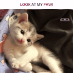 민지랑 결혼하고<b>시포</b>