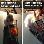 [방탄소년단] 정국이의 <b>갭</b>